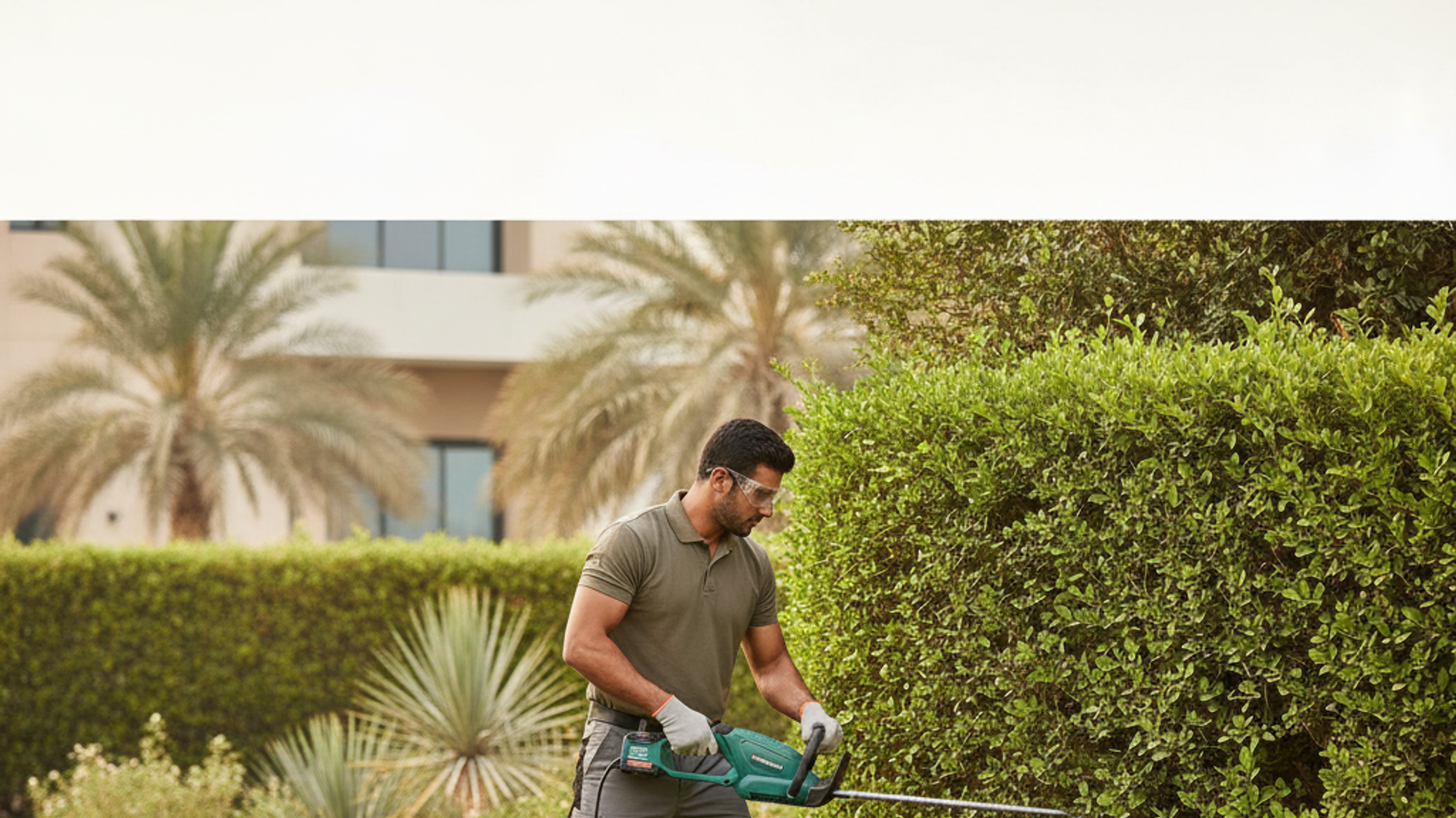 gardener trimming a hedge in a Dubai villa garden